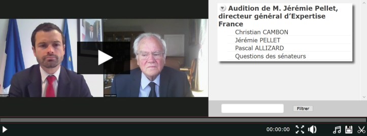 Christian Cambon - expertise France 2